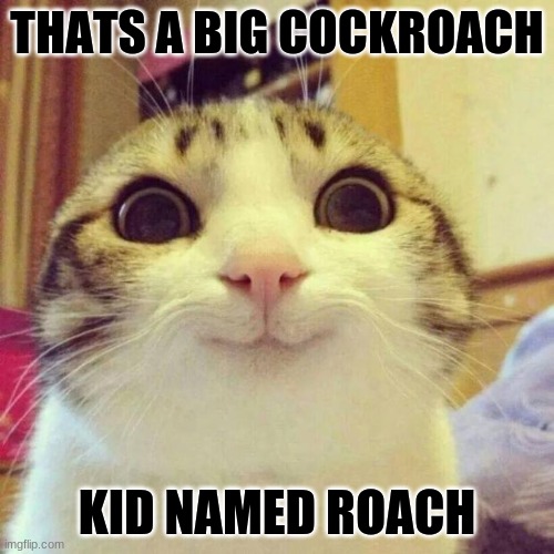 Broski | THATS A BIG COCKROACH; KID NAMED ROACH | image tagged in memes,smiling cat,cockroaches | made w/ Imgflip meme maker