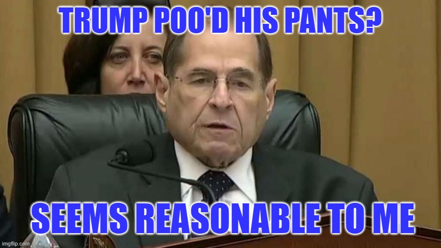 Rep. Jerry Nadler | TRUMP POO'D HIS PANTS? SEEMS REASONABLE TO ME | image tagged in rep jerry nadler | made w/ Imgflip meme maker