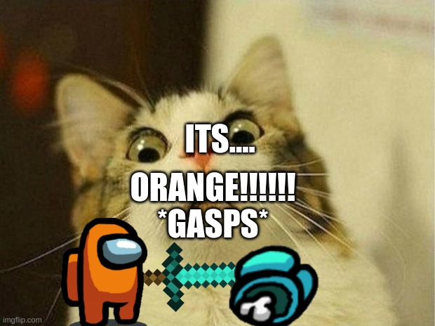 Scared Cat Meme | ITS.... ORANGE!!!!!!
*GASPS* | image tagged in memes,scared cat | made w/ Imgflip meme maker
