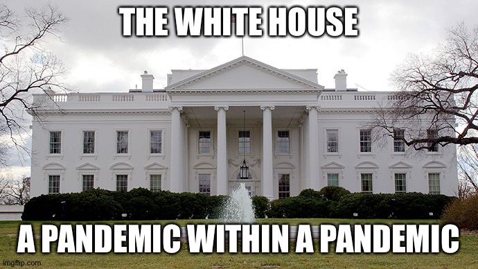 Trump House | THE WHITE HOUSE; A PANDEMIC WITHIN A PANDEMIC | image tagged in white house | made w/ Imgflip meme maker