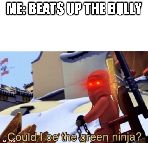 Could I Be The Green Ninja? | ME: BEATS UP THE BULLY | image tagged in could i be the green ninja | made w/ Imgflip meme maker