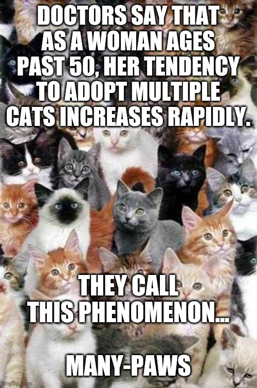 respect the Science | DOCTORS SAY THAT AS A WOMAN AGES PAST 50, HER TENDENCY TO ADOPT MULTIPLE CATS INCREASES RAPIDLY. THEY CALL THIS PHENOMENON...
 
MANY-PAWS | image tagged in too many cats,women,menopause | made w/ Imgflip meme maker