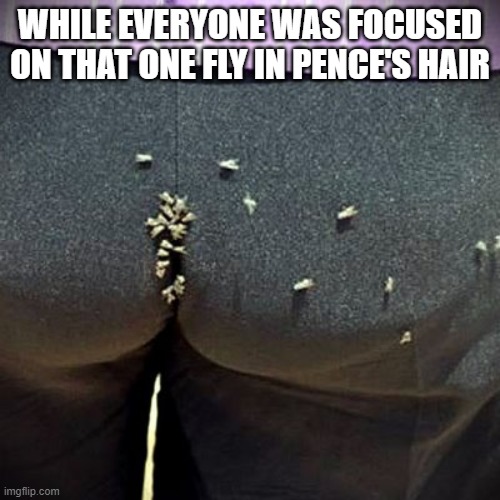 WHILE EVERYONE WAS FOCUSED ON THAT ONE FLY IN PENCE'S HAIR | image tagged in debates,fly | made w/ Imgflip meme maker