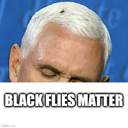 Black Flies Matter | BLACK FLIES MATTER | image tagged in mike pence,presidential debate,terrorism,politics,political meme | made w/ Imgflip meme maker