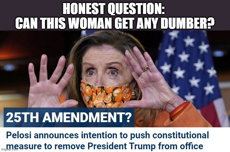 Dumb and Dumber! | HONEST QUESTION: 
CAN THIS WOMAN GET ANY DUMBER? | image tagged in nancy pelosi wtf,nancy pelosi is crazy,insane | made w/ Imgflip meme maker