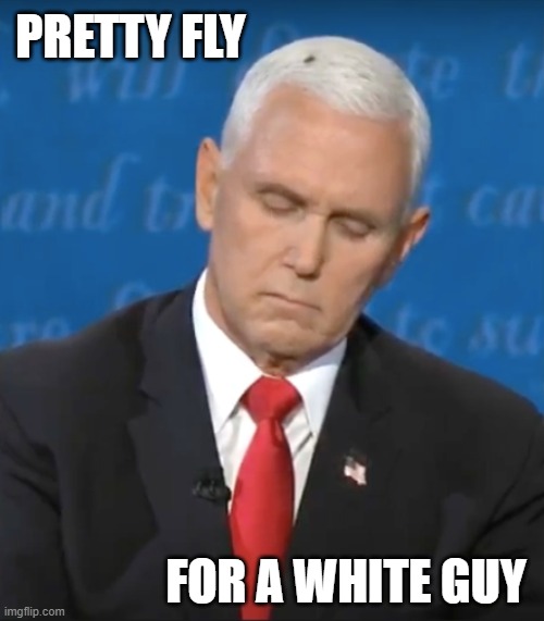 Pence | PRETTY FLY; FOR A WHITE GUY | image tagged in pence debate fly | made w/ Imgflip meme maker