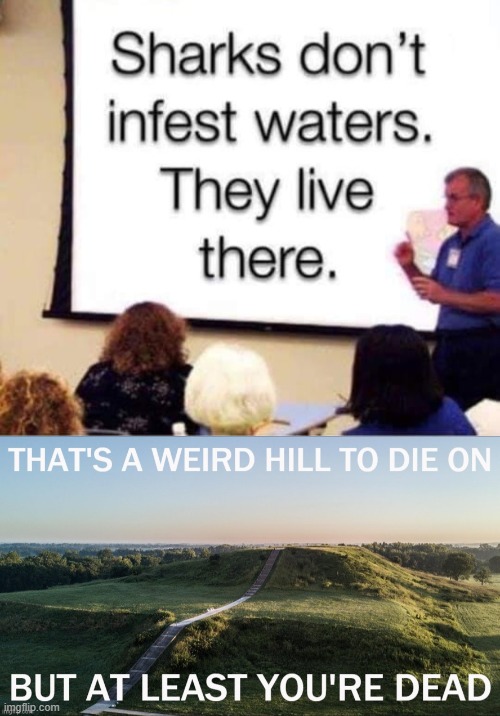 #sharklivesmatter | image tagged in that's a weird hill to die on franklin gothic medium,shark,wut,lol,sharks,why | made w/ Imgflip meme maker