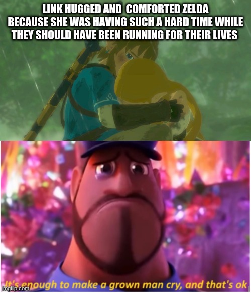 Link is the sweetest idiot ever | LINK HUGGED AND  COMFORTED ZELDA BECAUSE SHE WAS HAVING SUCH A HARD TIME WHILE THEY SHOULD HAVE BEEN RUNNING FOR THEIR LIVES | image tagged in the legend of zelda breath of the wild | made w/ Imgflip meme maker