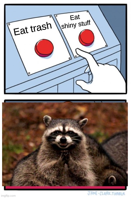Racoon +100 | Eat shiny stuff; Eat trash | image tagged in memes,two buttons | made w/ Imgflip meme maker