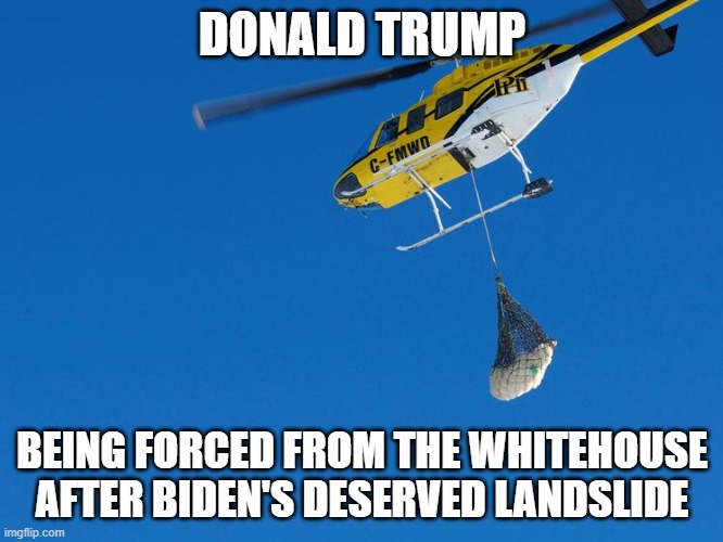 polar bear airlift | DONALD TRUMP; BEING FORCED FROM THE WHITEHOUSE AFTER BIDEN'S DESERVED LANDSLIDE | image tagged in polar bear airlift | made w/ Imgflip meme maker