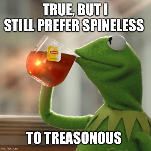 But That's None Of My Business Meme | TRUE, BUT I STILL PREFER SPINELESS TO TREASONOUS | image tagged in memes,but that's none of my business,kermit the frog | made w/ Imgflip meme maker