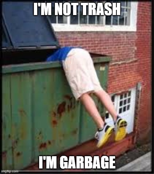 garbage | I'M NOT TRASH; I'M GARBAGE | image tagged in garbage | made w/ Imgflip meme maker