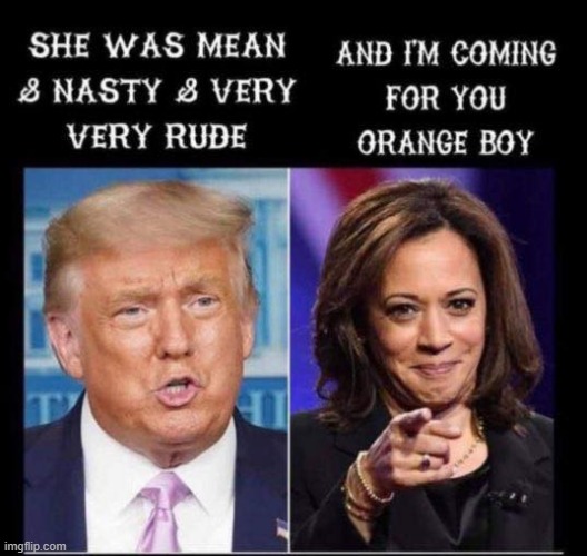 lol politics is going crazy over Harris's "tone": she was v restrained & respectful for what she had to put up with (repost) | image tagged in repost,debate,debates,sexism,sexist,racism | made w/ Imgflip meme maker