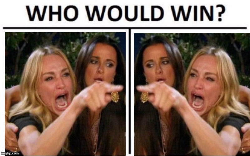 The Wizard of Goslar | image tagged in memes,who would win,funny,ladies,shouting,pointing | made w/ Imgflip meme maker
