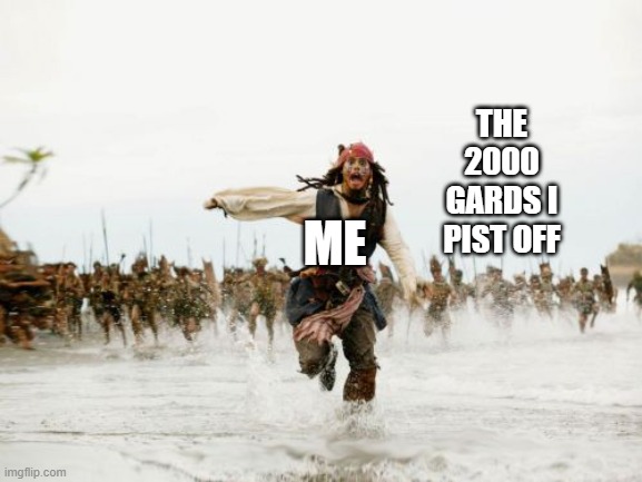 Jack Sparrow Being Chased | THE 2000 GARDS I PIST OFF; ME | image tagged in jack sparrow being chased | made w/ Imgflip meme maker