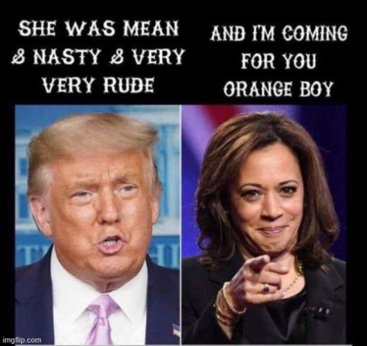 y would a black woman challenge the turmp adminsitration maga | image tagged in maga,repost,sexism,sexist,election 2020,kamala harris | made w/ Imgflip meme maker
