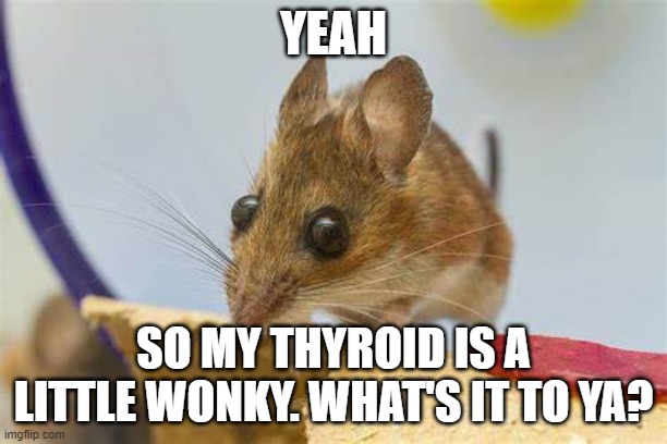 YEAH; SO MY THYROID IS A LITTLE WONKY. WHAT'S IT TO YA? | made w/ Imgflip meme maker