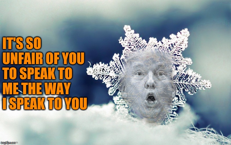 Trump Snowflake | IT'S SO UNFAIR OF YOU TO SPEAK TO ME THE WAY I SPEAK TO YOU | image tagged in trump snowflake | made w/ Imgflip meme maker