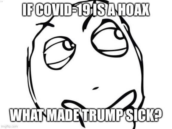 Question Rage Face Meme | IF COVID-19 IS A HOAX WHAT MADE TRUMP SICK? | image tagged in memes,question rage face | made w/ Imgflip meme maker