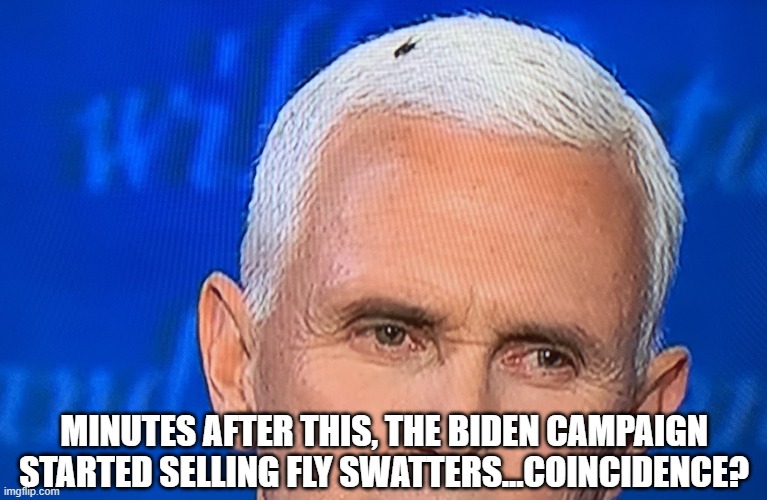 Coincidence? | MINUTES AFTER THIS, THE BIDEN CAMPAIGN STARTED SELLING FLY SWATTERS...COINCIDENCE? | image tagged in pence fly | made w/ Imgflip meme maker