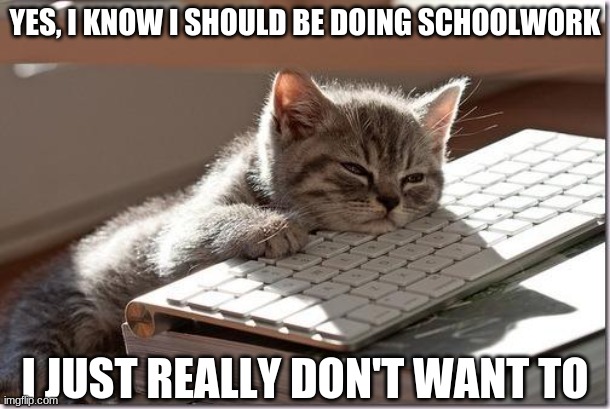 If I were a cat | YES, I KNOW I SHOULD BE DOING SCHOOLWORK; I JUST REALLY DON'T WANT TO | image tagged in bored keyboard cat,school | made w/ Imgflip meme maker