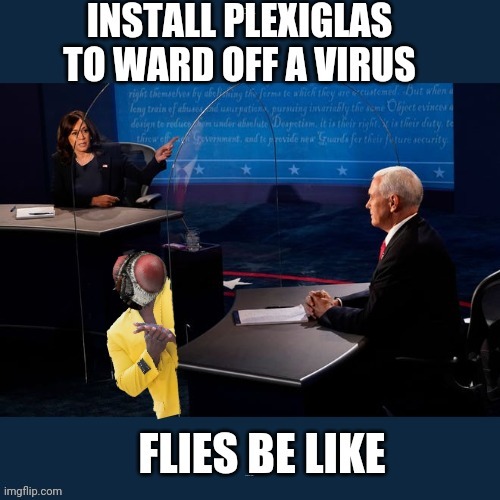 Yes it's me the notorious debate fly. Ask Me Anything! | Install plexiglas to ward off a virus; Flies be like | image tagged in politics,debates,flies,rubbing hands | made w/ Imgflip meme maker