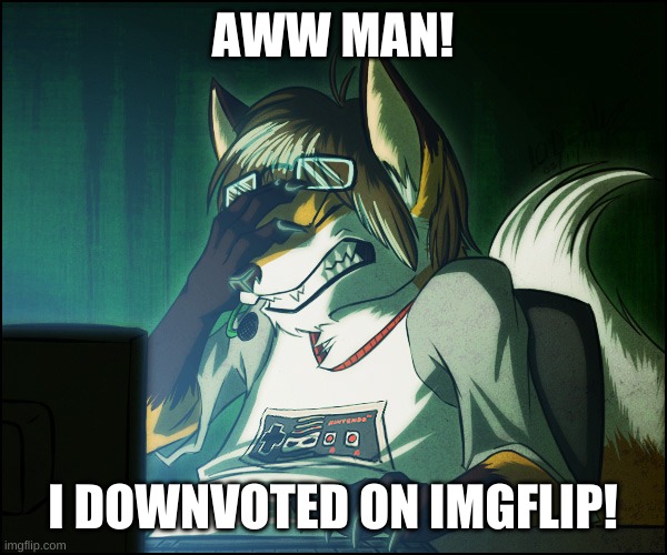 Bad furry! | AWW MAN! I DOWNVOTED ON IMGFLIP! | image tagged in furry facepalm | made w/ Imgflip meme maker