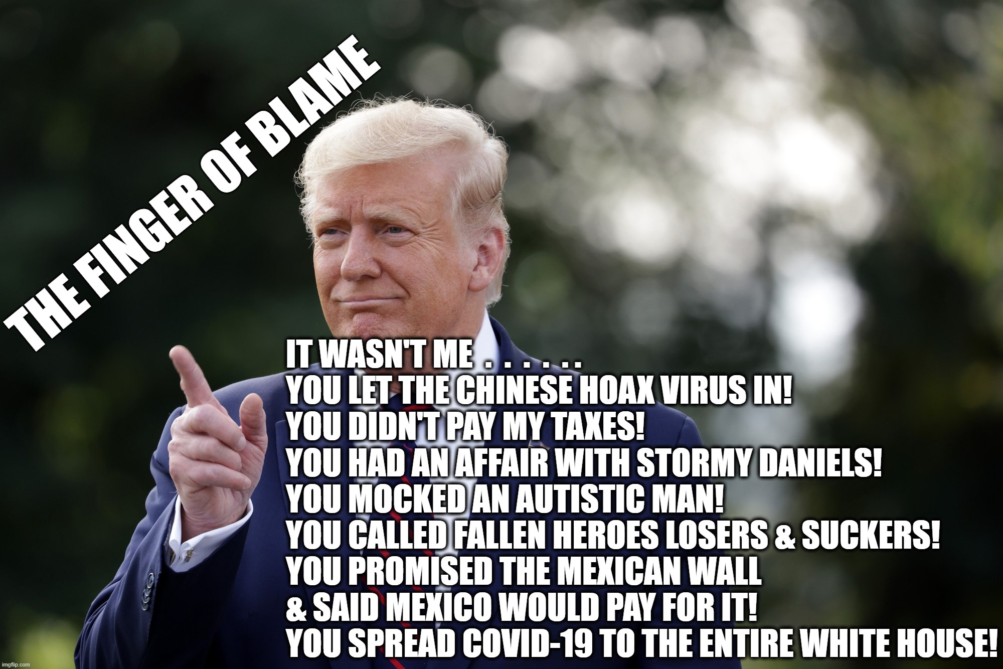 The Finger of Blame | THE FINGER OF BLAME; IT WASN'T ME  .  .  .  .  . .
YOU LET THE CHINESE HOAX VIRUS IN!
YOU DIDN'T PAY MY TAXES!
YOU HAD AN AFFAIR WITH STORMY DANIELS!
YOU MOCKED AN AUTISTIC MAN!
YOU CALLED FALLEN HEROES LOSERS & SUCKERS!
YOU PROMISED THE MEXICAN WALL 
& SAID MEXICO WOULD PAY FOR IT!
YOU SPREAD COVID-19 TO THE ENTIRE WHITE HOUSE! | image tagged in blame,president,trump,finger,liar,lies | made w/ Imgflip meme maker