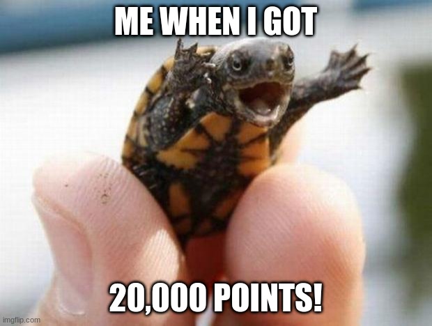 20,000 points! | ME WHEN I GOT; 20,000 POINTS! | image tagged in happy baby turtle | made w/ Imgflip meme maker