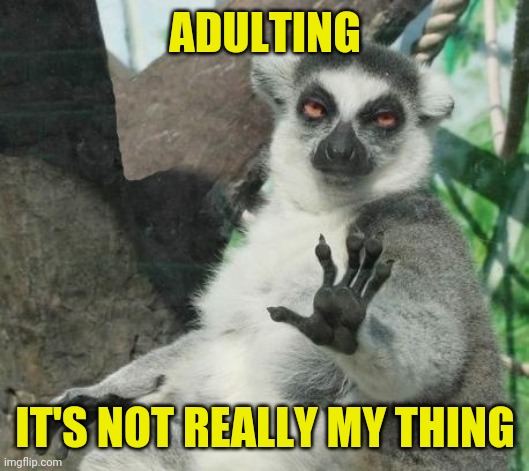 adulting - it's not really my thing | ADULTING; IT'S NOT REALLY MY THING | image tagged in memes,stoner lemur,funny,meme,funny memes | made w/ Imgflip meme maker