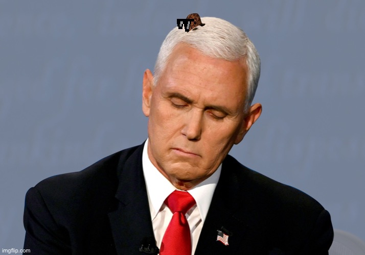Thug life fly | image tagged in pence fly,trump,funny memes | made w/ Imgflip meme maker