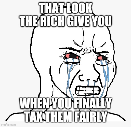 Tax the rich | THAT LOOK THE RICH GIVE YOU; WHEN YOU FINALLY TAX THEM FAIRLY | image tagged in angry crying | made w/ Imgflip meme maker