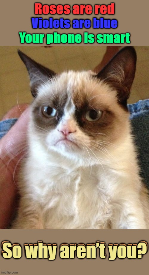 Grumpy is at it again... | Roses are red; Violets are blue; Your phone is smart; So why aren’t you? So why aren’t you? | image tagged in memes,grumpy cat,grumpy cat insults | made w/ Imgflip meme maker