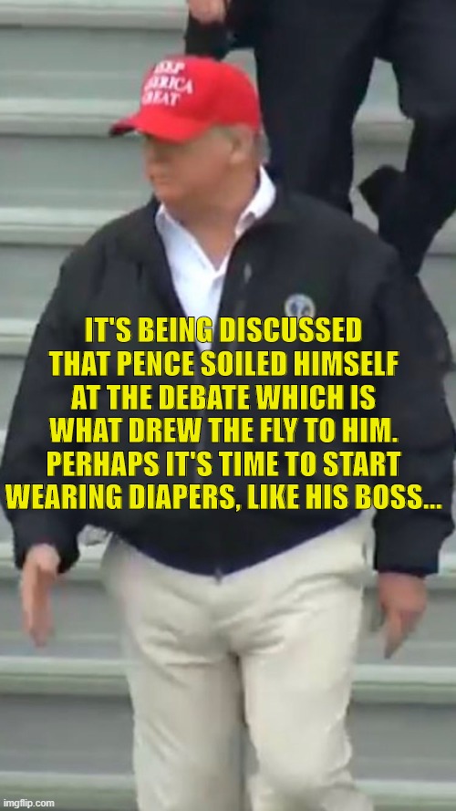 Pence poop | IT'S BEING DISCUSSED THAT PENCE SOILED HIMSELF AT THE DEBATE WHICH IS WHAT DREW THE FLY TO HIM. PERHAPS IT'S TIME TO START WEARING DIAPERS, LIKE HIS BOSS... | image tagged in mike pence | made w/ Imgflip meme maker