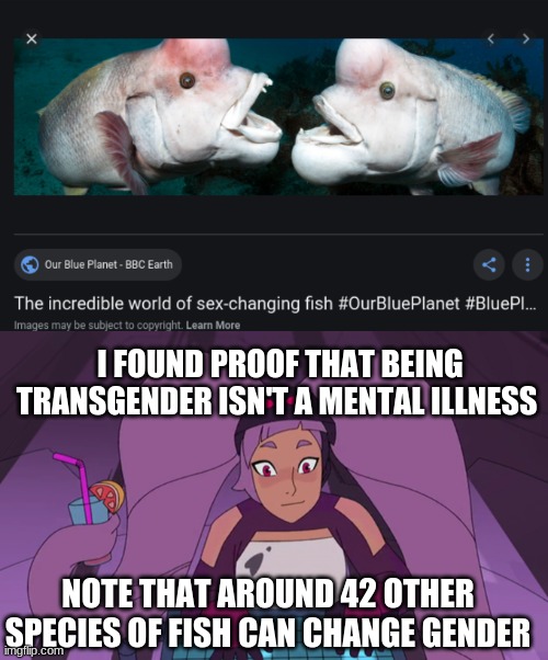 I FOUND PROOF THAT BEING TRANSGENDER ISN'T A MENTAL ILLNESS; NOTE THAT AROUND 42 OTHER SPECIES OF FISH CAN CHANGE GENDER | image tagged in entrapta computer | made w/ Imgflip meme maker