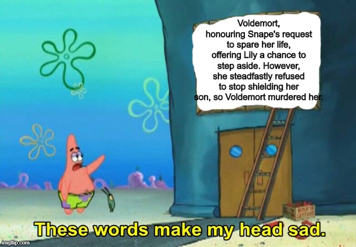 These words make my head sad Patrick | Voldemort, honouring Snape's request to spare her life, offering Lily a chance to step aside. However, she steadfastly refused to stop shielding her son, so Voldemort murdered her. | image tagged in these words make my head sad patrick | made w/ Imgflip meme maker