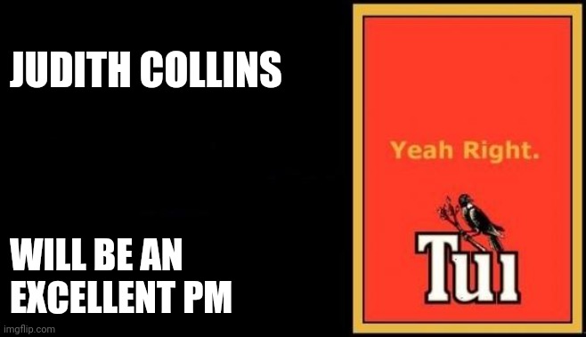 Tui | JUDITH COLLINS; WILL BE AN
EXCELLENT PM | image tagged in tui | made w/ Imgflip meme maker