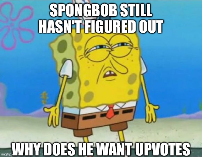 sponge bob wtf | SPONGBOB STILL HASN'T FIGURED OUT WHY DOES HE WANT UPVOTES | image tagged in sponge bob wtf | made w/ Imgflip meme maker