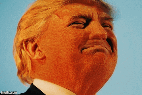 Pumpkinhead Trump | image tagged in gifs,dumb trump,halloween,pumpkinhead | made w/ Imgflip images-to-gif maker