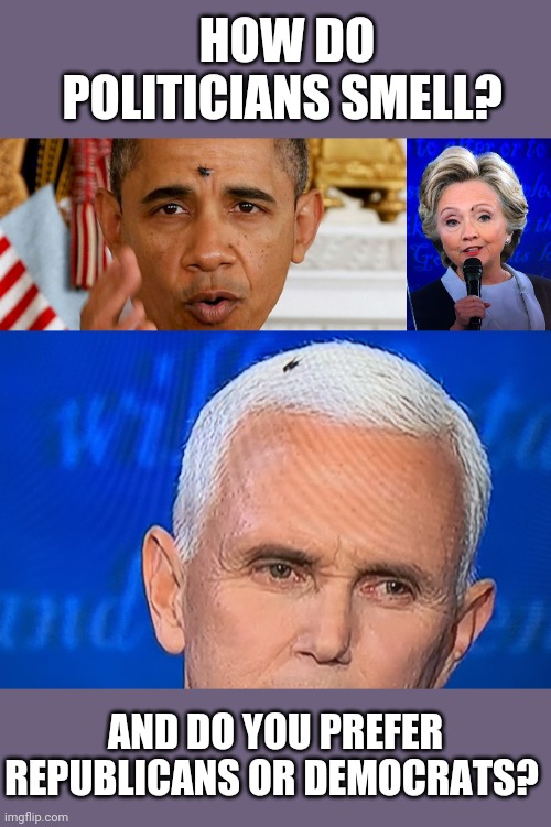 HOW DO POLITICIANS SMELL? AND DO YOU PREFER REPUBLICANS OR DEMOCRATS? | image tagged in obama fly guy,hillary fly,pence fly | made w/ Imgflip meme maker