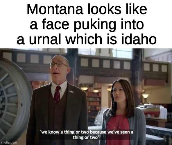 They have seen a lot | Montana looks like a face puking into a urnal which is idaho | image tagged in we know a thing or two because we've seen a thing or two | made w/ Imgflip meme maker