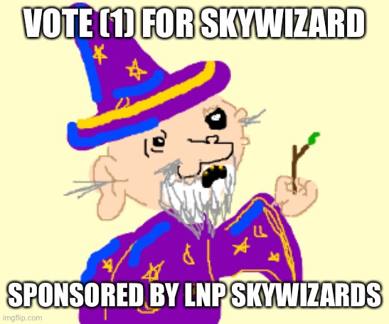 sky wizard | VOTE (1) FOR SKYWIZARD; SPONSORED BY LNP SKYWIZARDS | image tagged in wizard,liberal | made w/ Imgflip meme maker