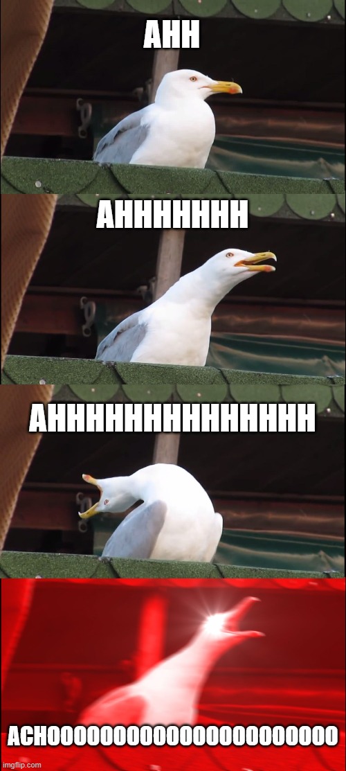 Me when I sneeze | AHH; AHHHHHHH; AHHHHHHHHHHHHHH; ACHOOOOOOOOOOOOOOOOOOOOOO | image tagged in memes,inhaling seagull | made w/ Imgflip meme maker