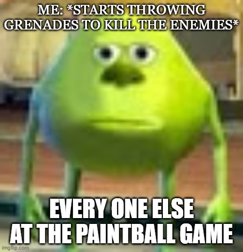 Sully Wazowski | ME: *STARTS THROWING GRENADES TO KILL THE ENEMIES*; EVERY ONE ELSE AT THE PAINTBALL GAME | image tagged in sully wazowski | made w/ Imgflip meme maker