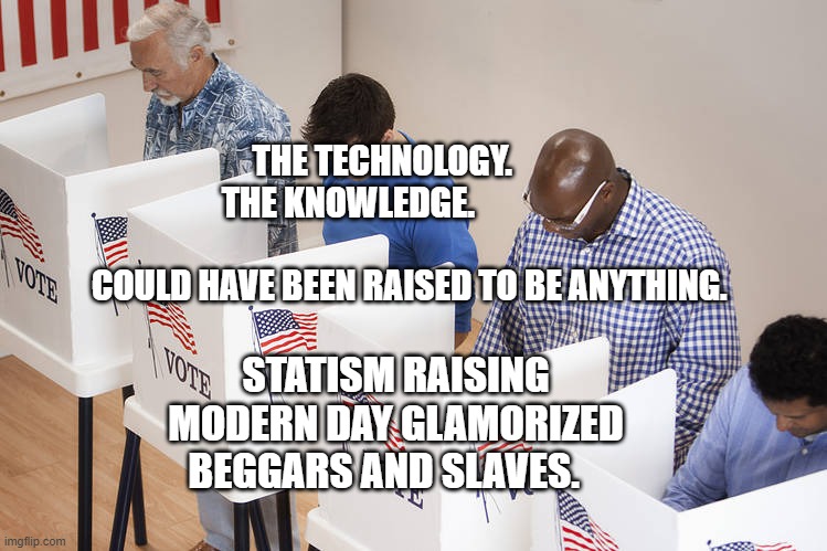 Voters | THE TECHNOLOGY.            THE KNOWLEDGE.                                                      COULD HAVE BEEN RAISED TO BE ANYTHING. STATISM RAISING MODERN DAY GLAMORIZED BEGGARS AND SLAVES. | image tagged in voters | made w/ Imgflip meme maker
