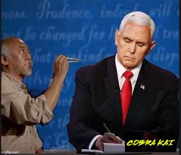 Pence POS | image tagged in cobra kai,debate | made w/ Imgflip meme maker