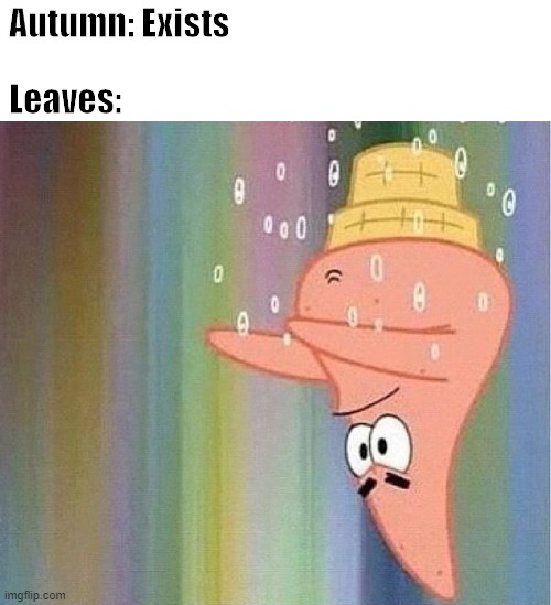 Autumn Leaves Be Like | Autumn: Exists; Leaves: | image tagged in memes,funny,autumn leaves,autumn,spongebob squarepants,patrick star | made w/ Imgflip meme maker