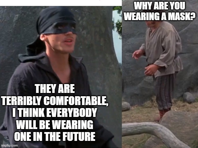 why you wearing a mask? | WHY ARE YOU WEARING A MASK? THEY ARE TERRIBLY COMFORTABLE, I THINK EVERYBODY WILL BE WEARING ONE IN THE FUTURE | image tagged in mask,covid,princess bride | made w/ Imgflip meme maker