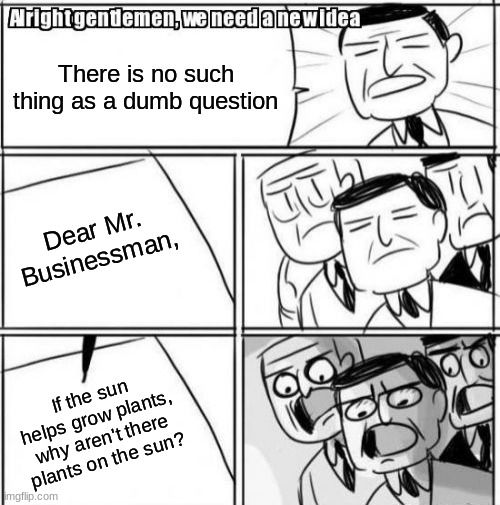 Alright Gentlemen We Need A New Idea Meme | There is no such thing as a dumb question; Dear Mr. Businessman, If the sun helps grow plants, why aren't there plants on the sun? | image tagged in memes,alright gentlemen we need a new idea | made w/ Imgflip meme maker