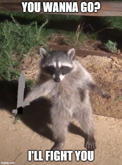 un happy racoon | image tagged in fight club,racoons,annoyed racoons,swords | made w/ Imgflip meme maker